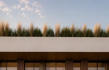 Flat roof edge and planted roof preparation